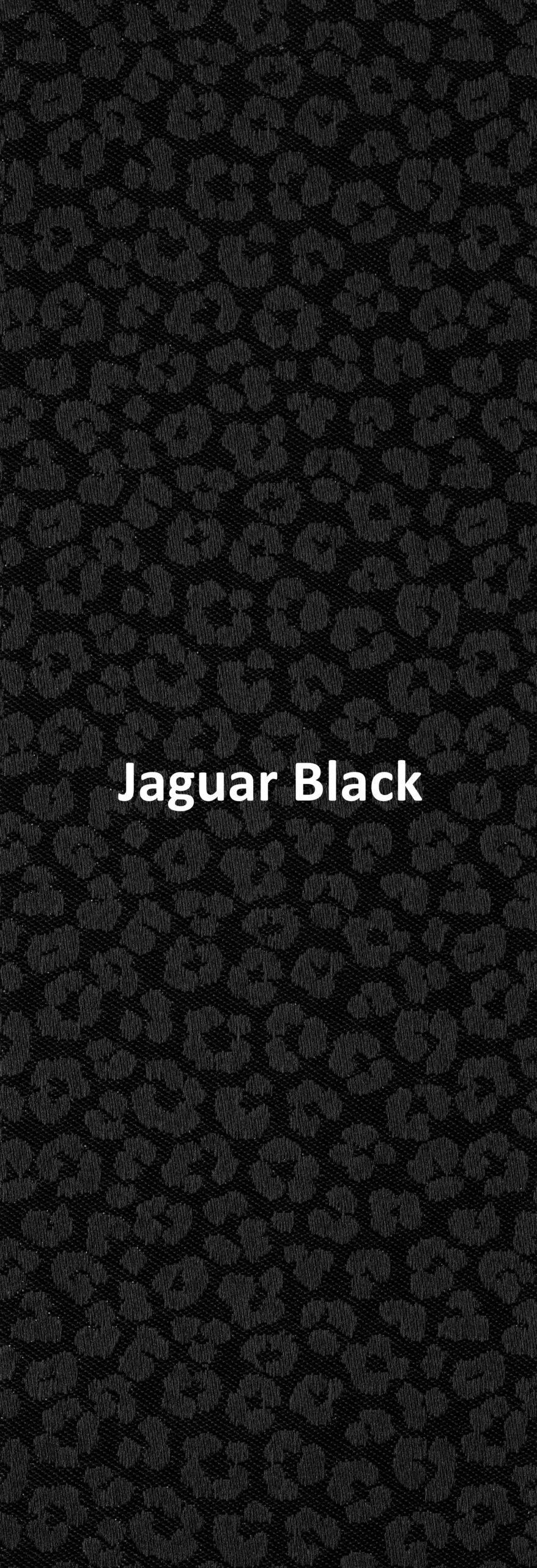 Jaguar Black None Blackout Roller Blind