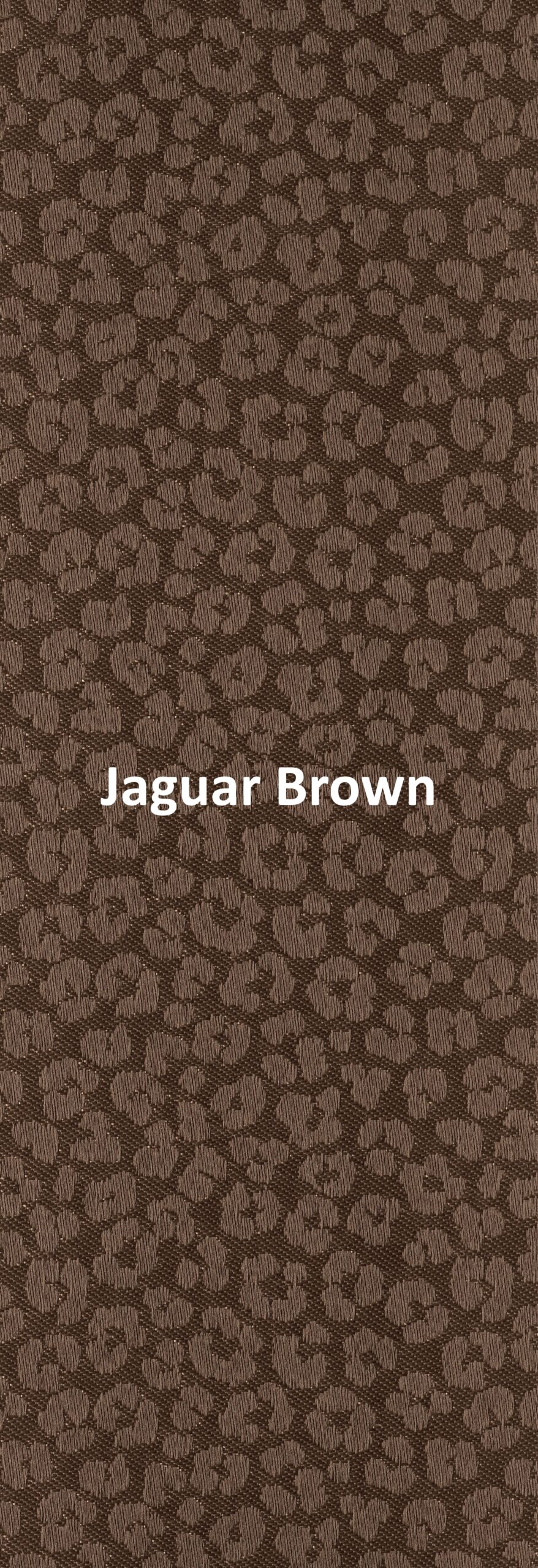 Jaguar Brown None Blackout Roller Blind