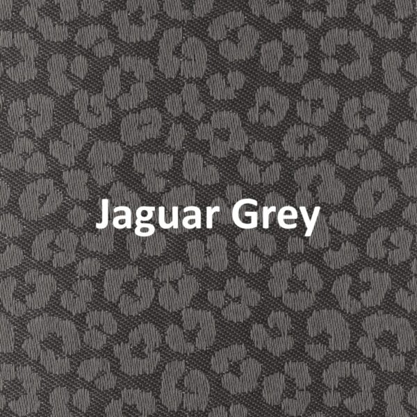 Jaguar Grey None Blackout Roller Blind