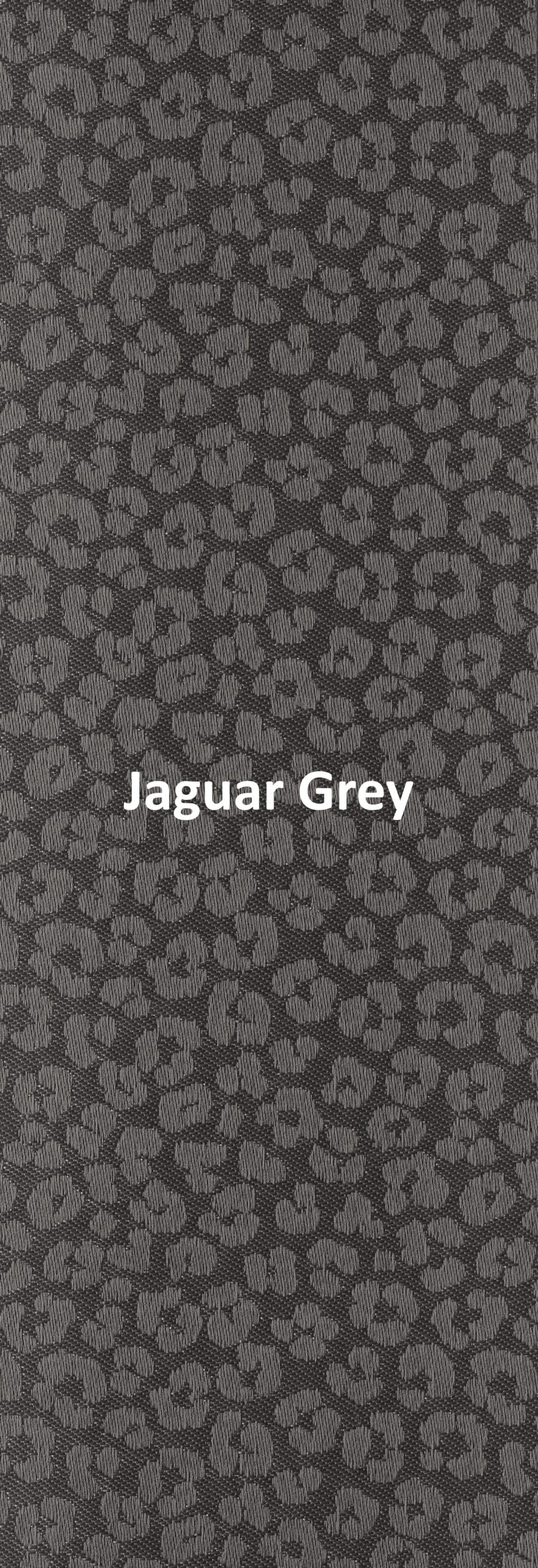 Jaguar Grey None Blackout Roller Blind