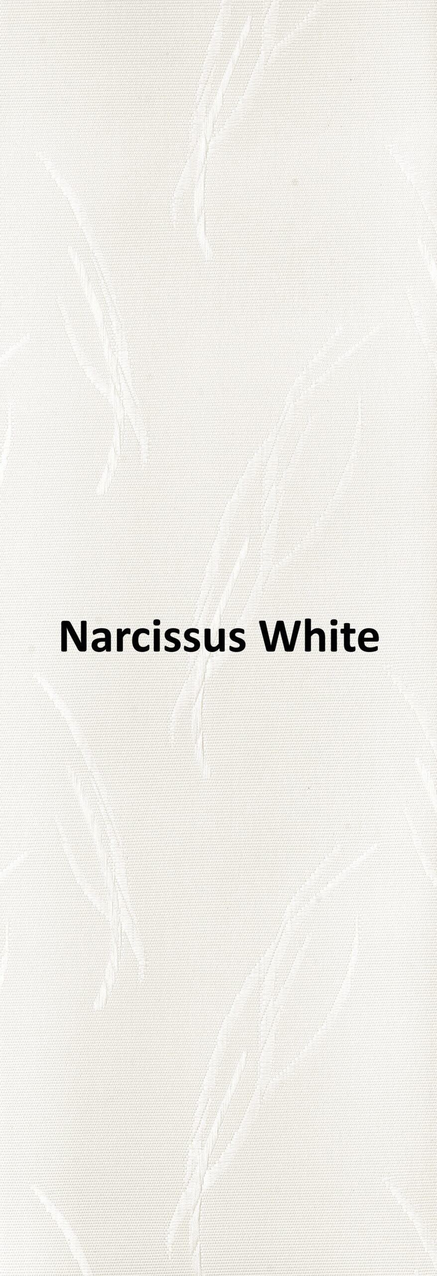 Narcissus White None Blackout Roller Blind